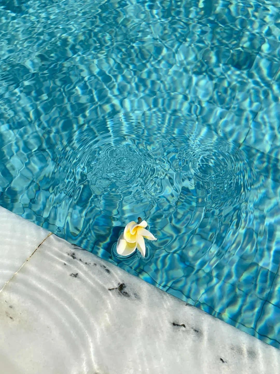 Summer never ends .