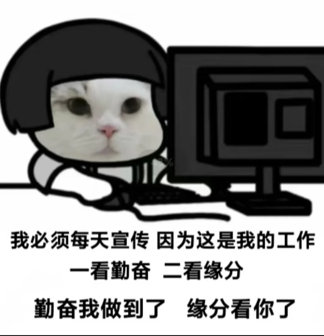 真boss直聘,还不来吗?