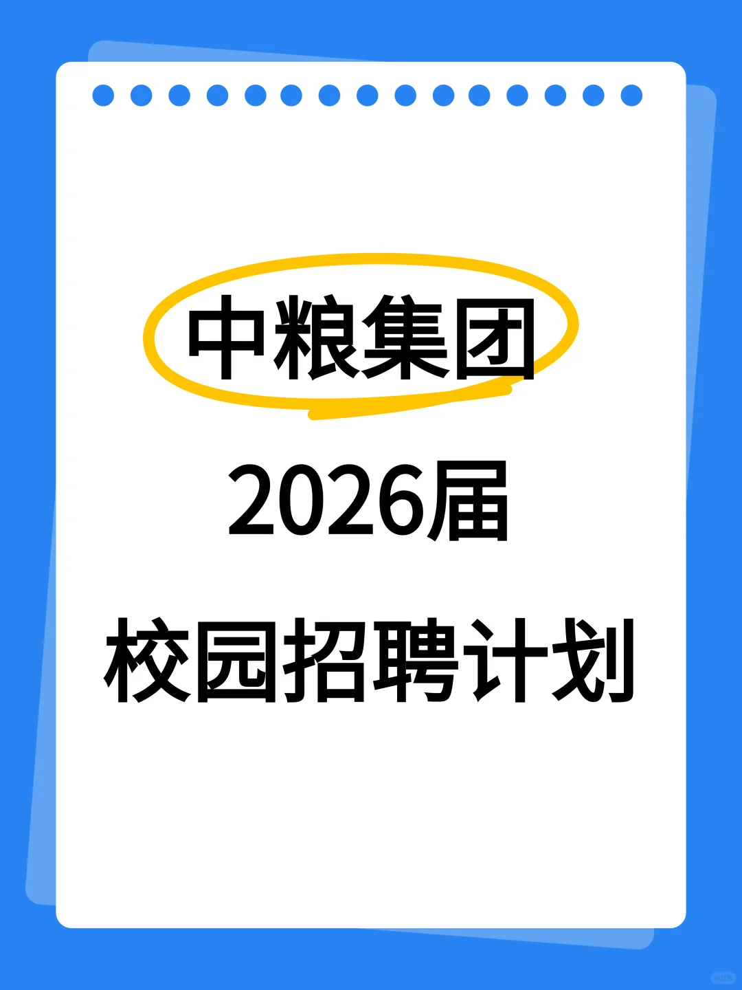 中粮—2026届招聘计划