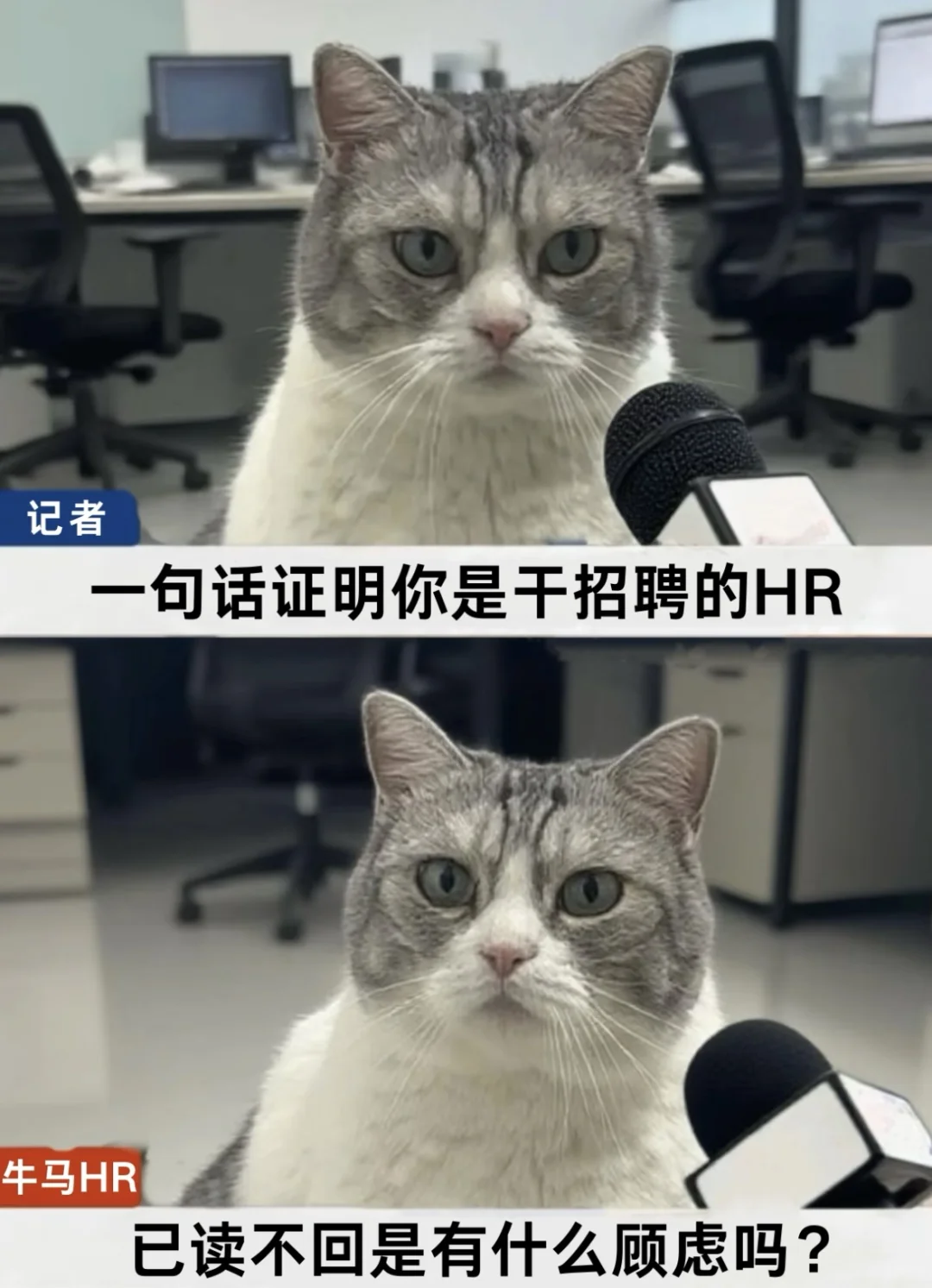 真boss直聘,还不来吗?