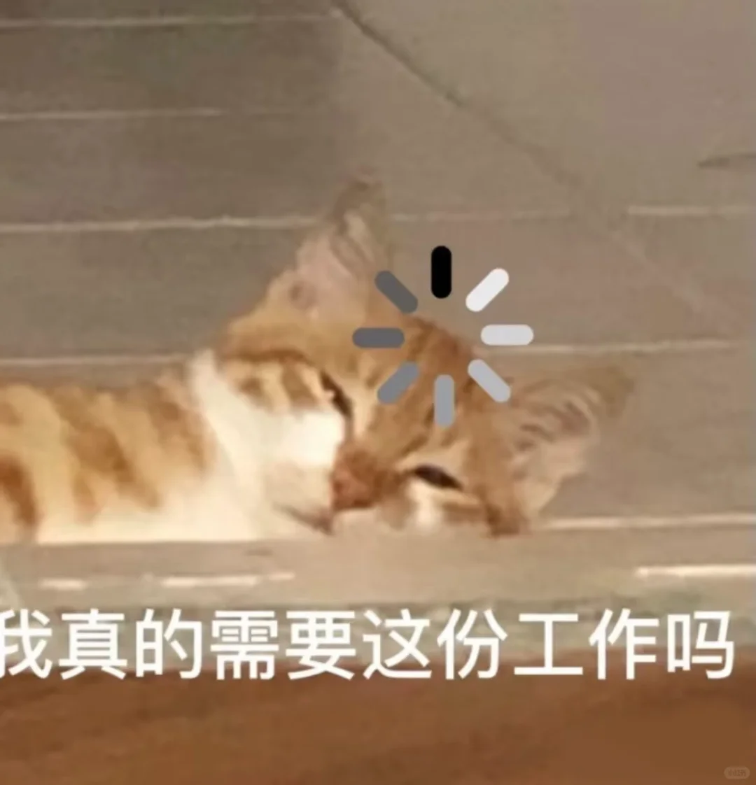 广州公司避雷集合，找工作前需要注意