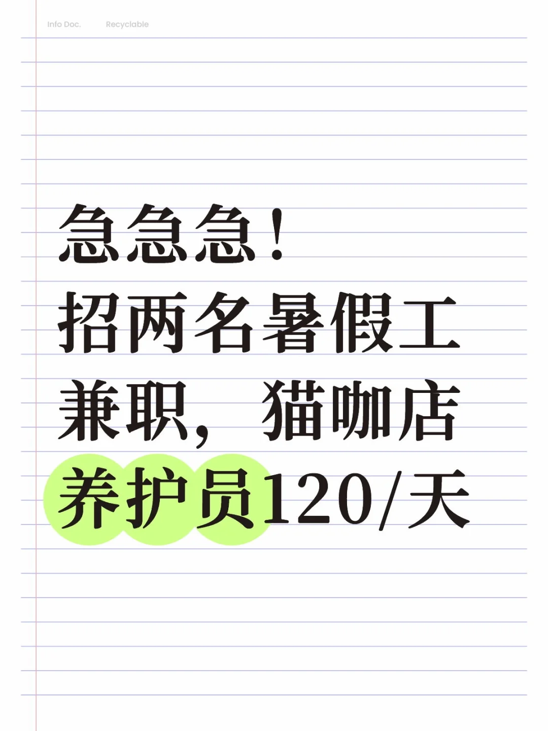 急招!猫咖暑假工,边撸猫边赚零花!