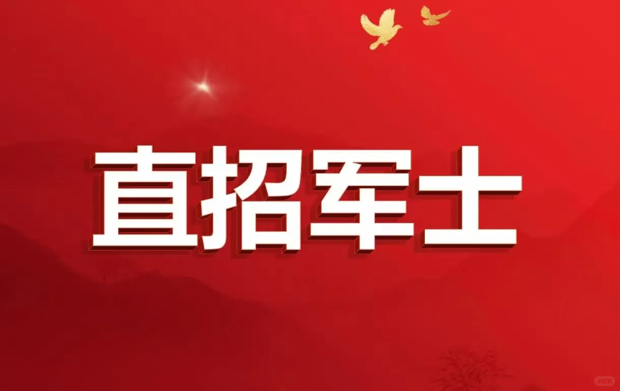 入伍直招军士，这个不错！