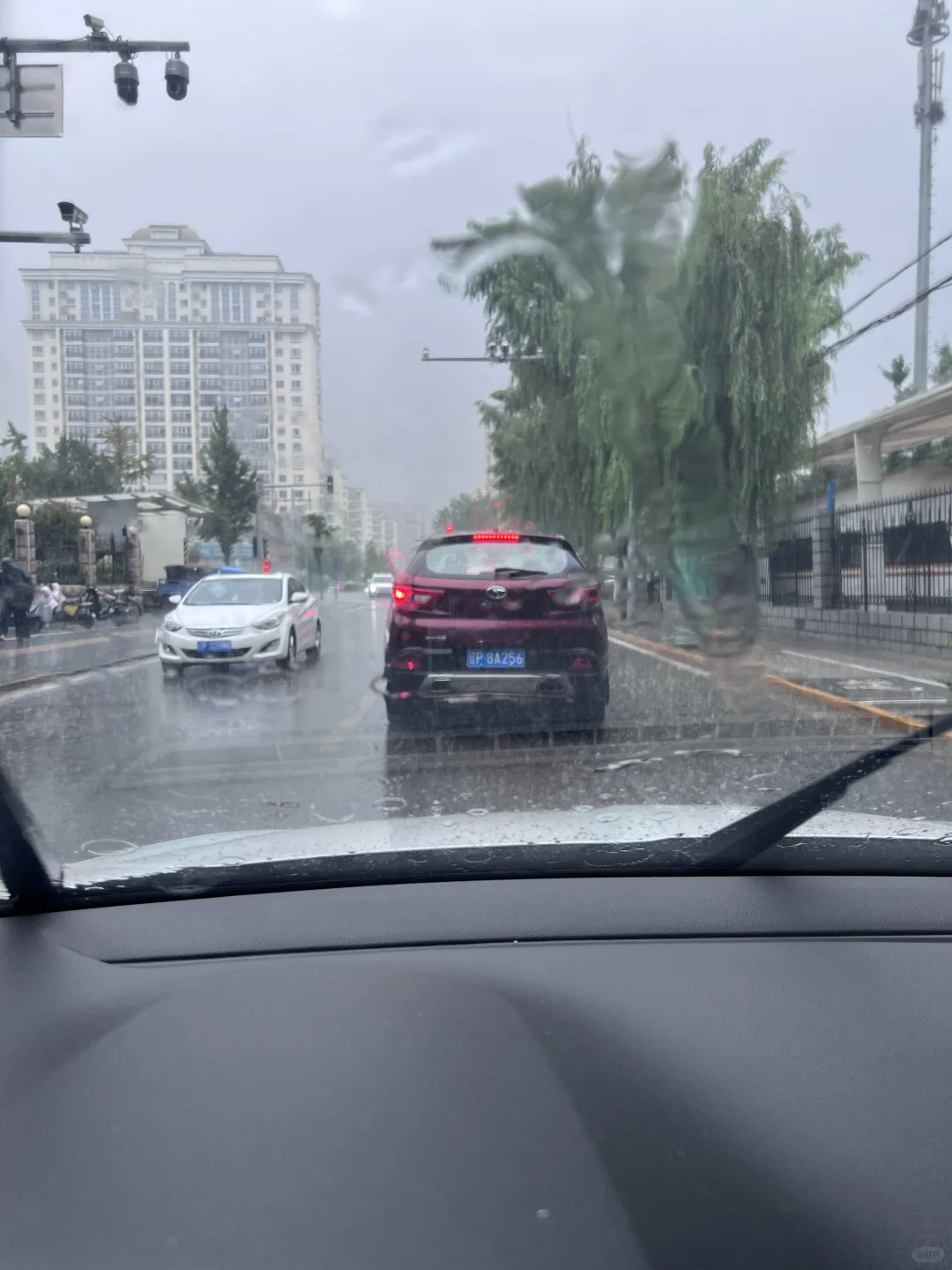 双非农硕gap一年入职农业公司