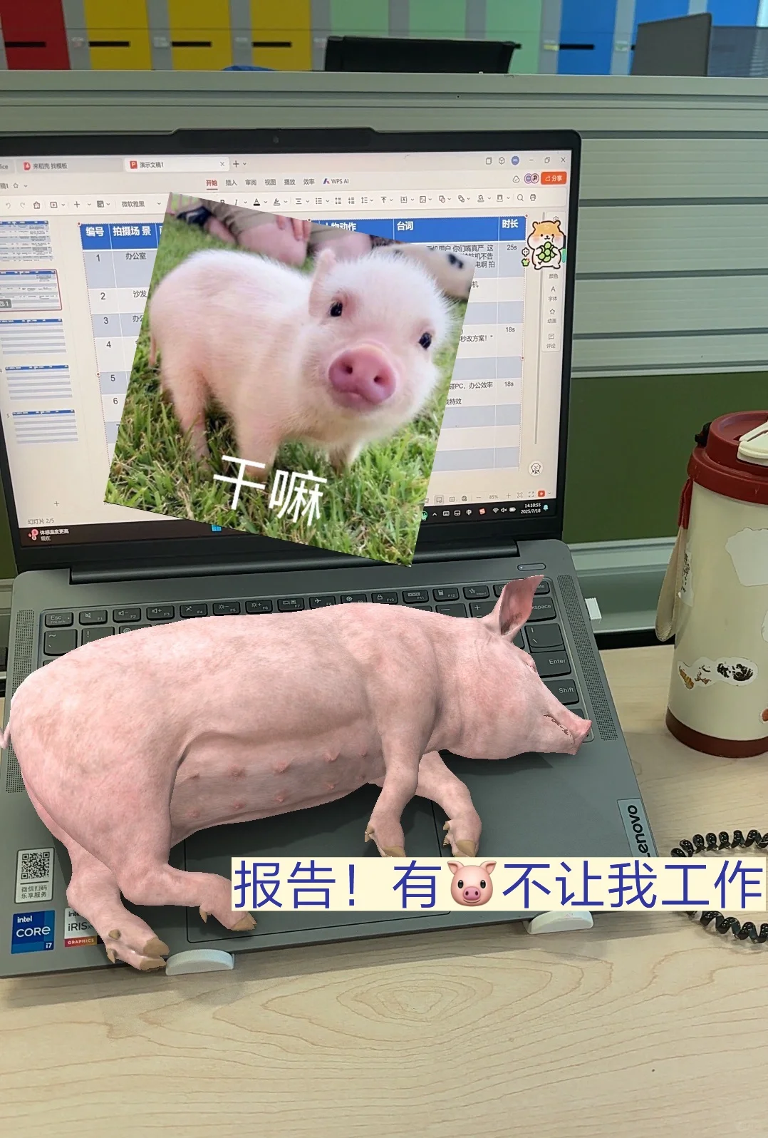 广外大二|联想实习的一天~