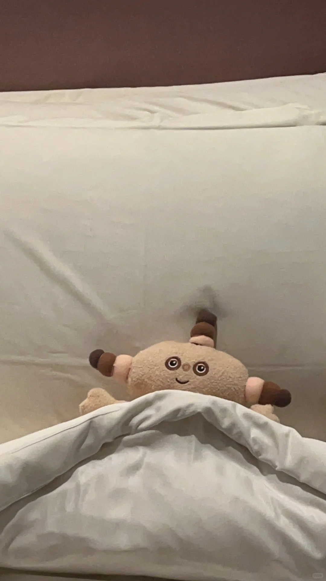 我自盛开,蝴蝶爱来不来??