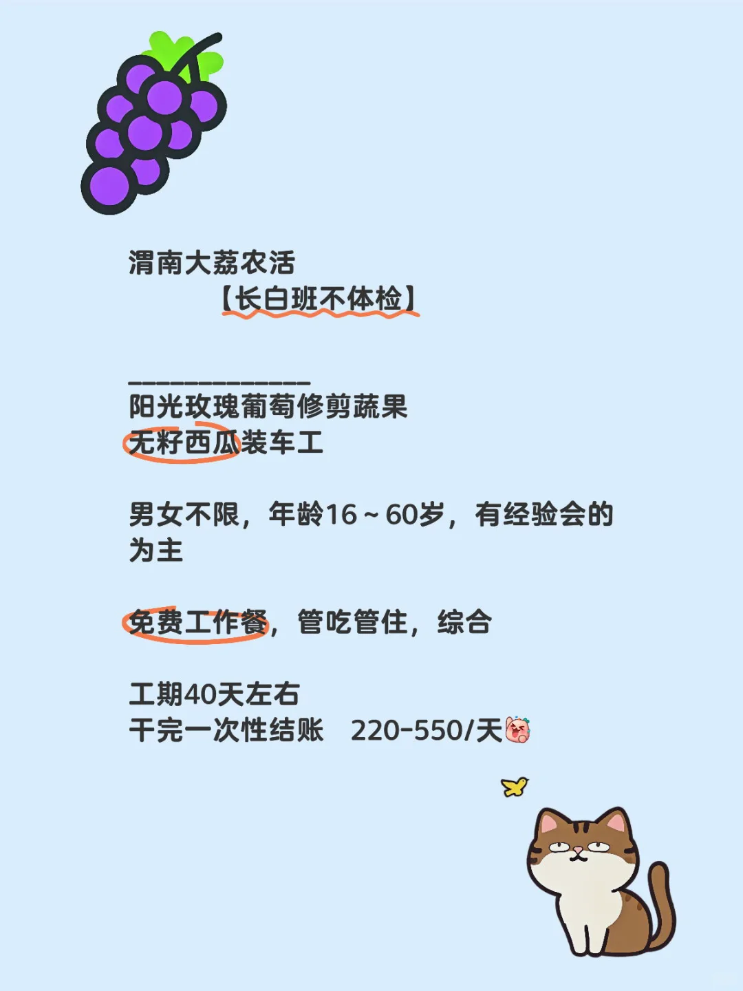 短期 夏日水果园 管吃住 长白班