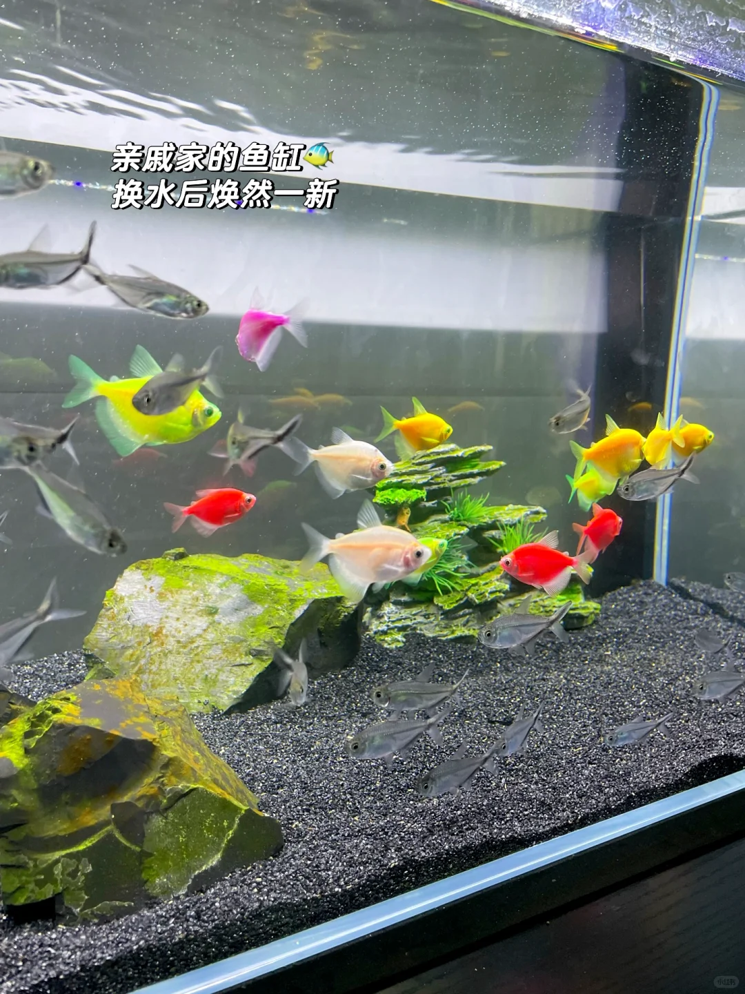 在潮汕 | 双休周末在干什么❓
