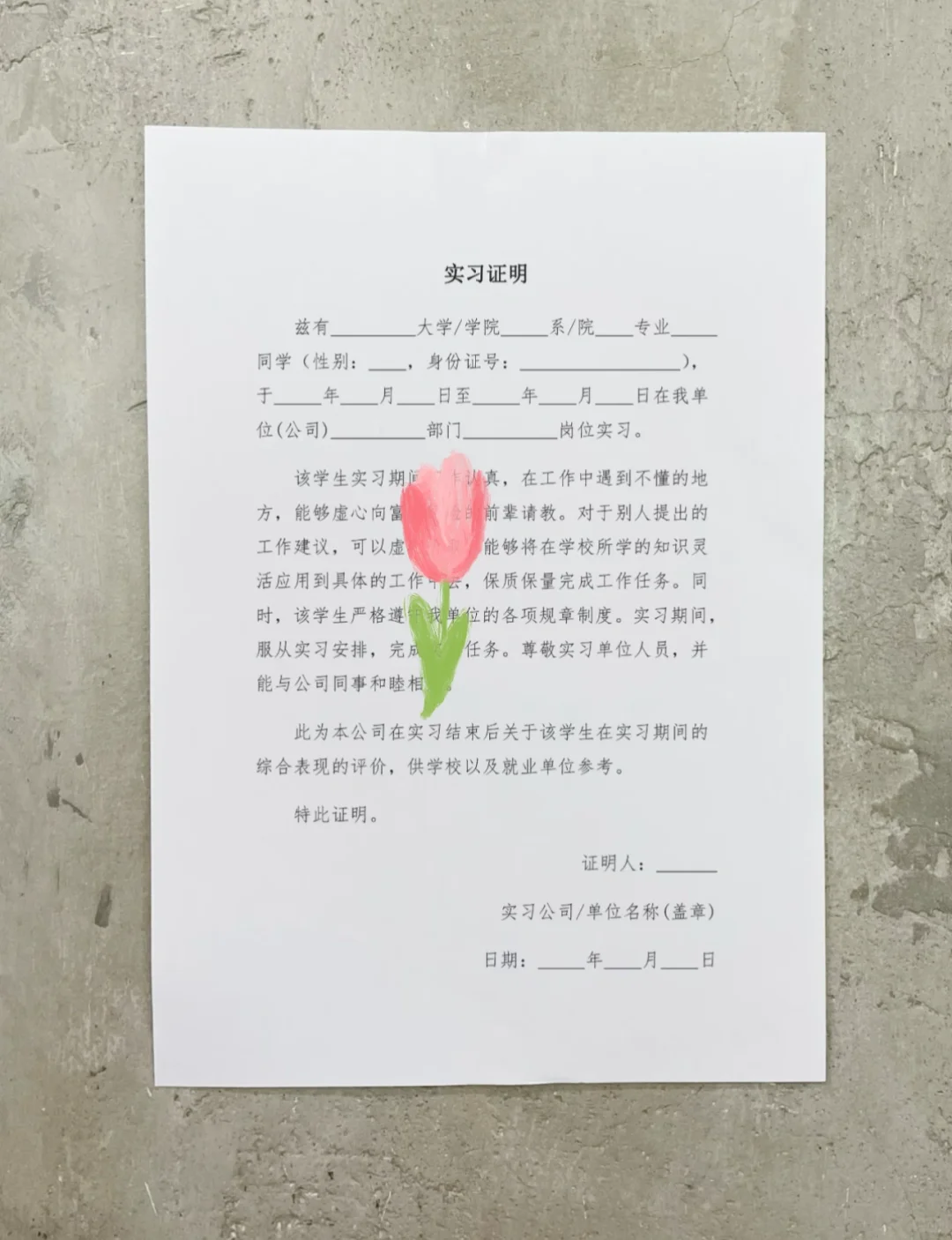 我的第一份实习模板