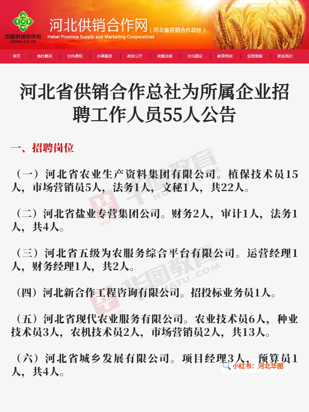 无笔试❗❗河北省供销合作总社招聘