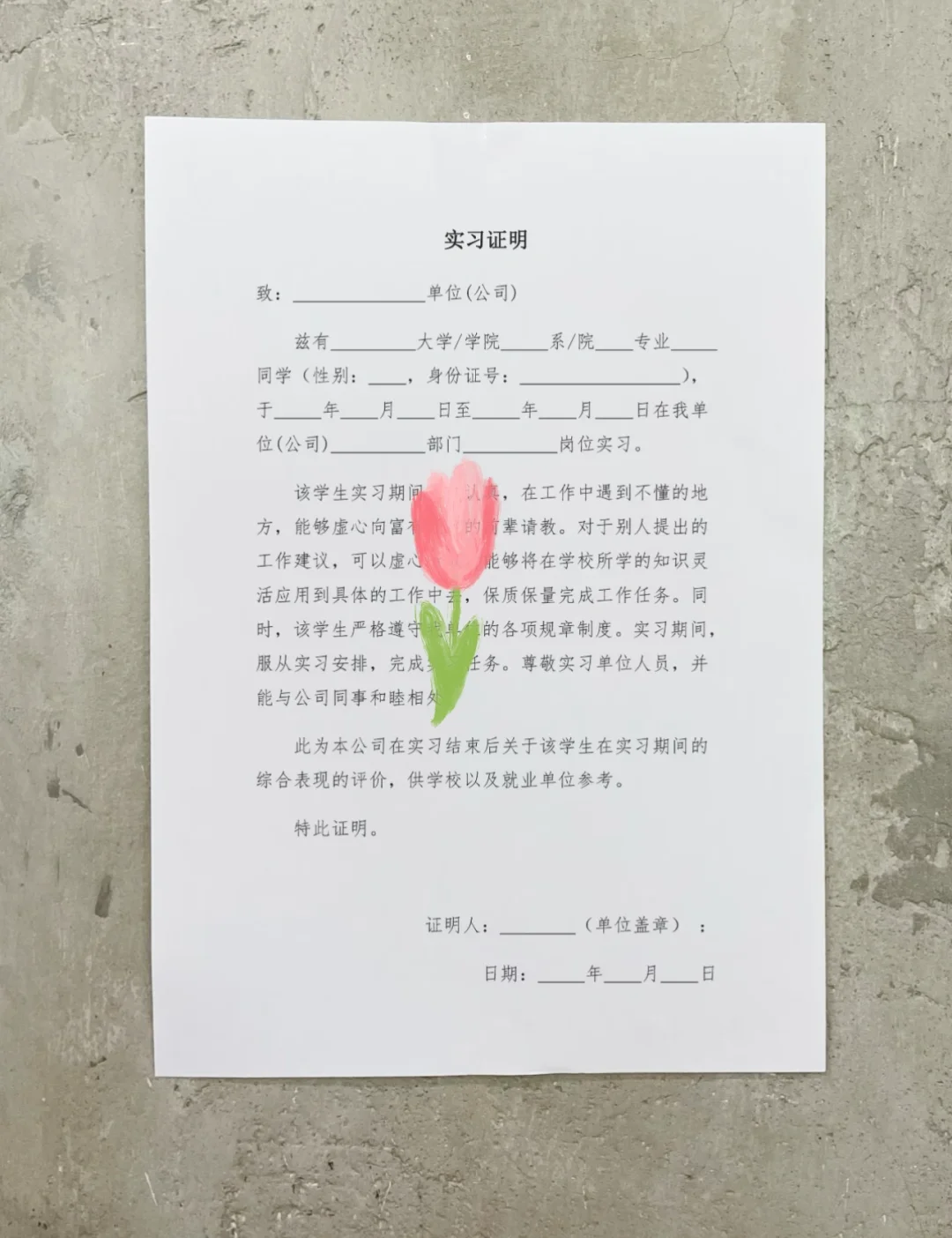 我的第一份实习模板