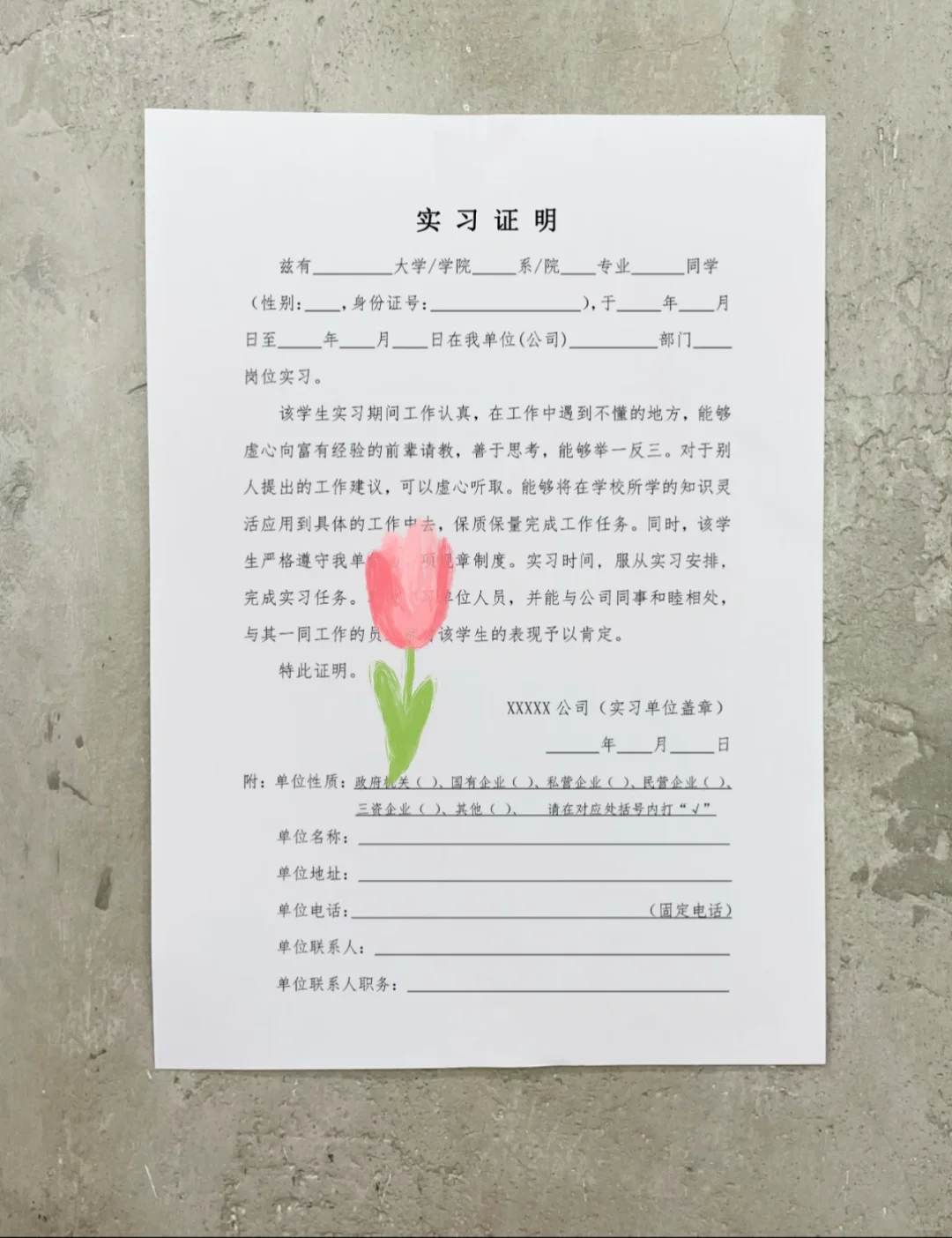 我的第一份实习模板