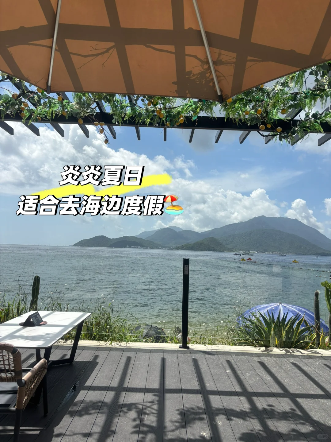 ✅中年失业，建议不要再去打工了，干点其他事