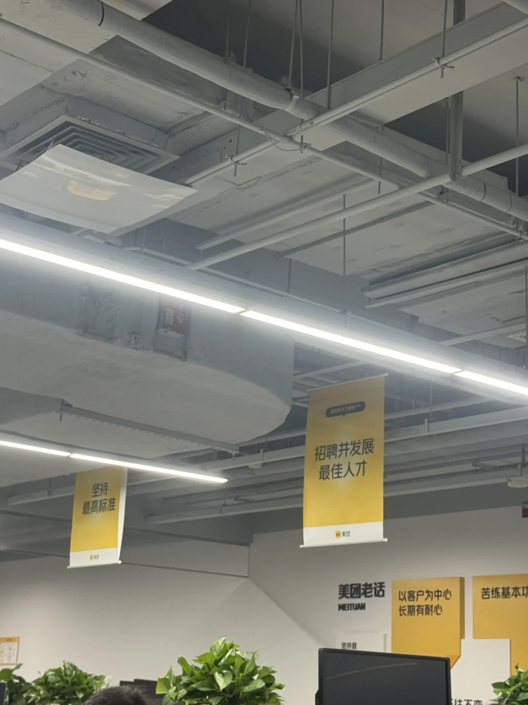 团子实习转正述职 | 随时准备跑路