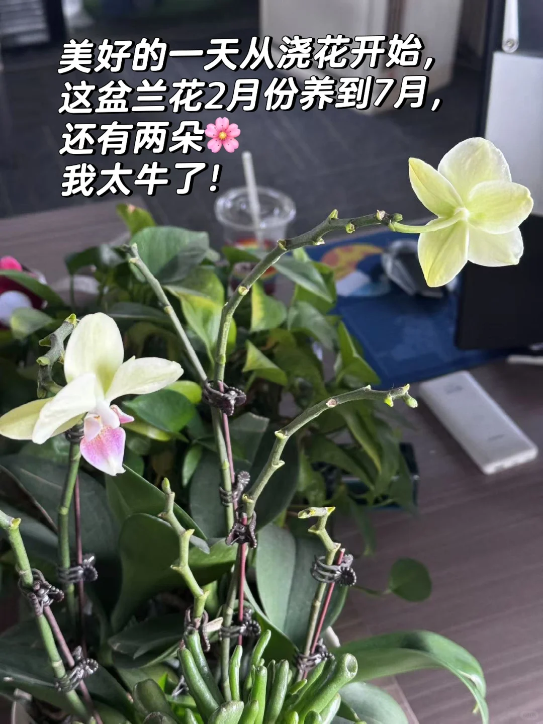 张店打工人狂喜!早9晚6➕周末双休,我司