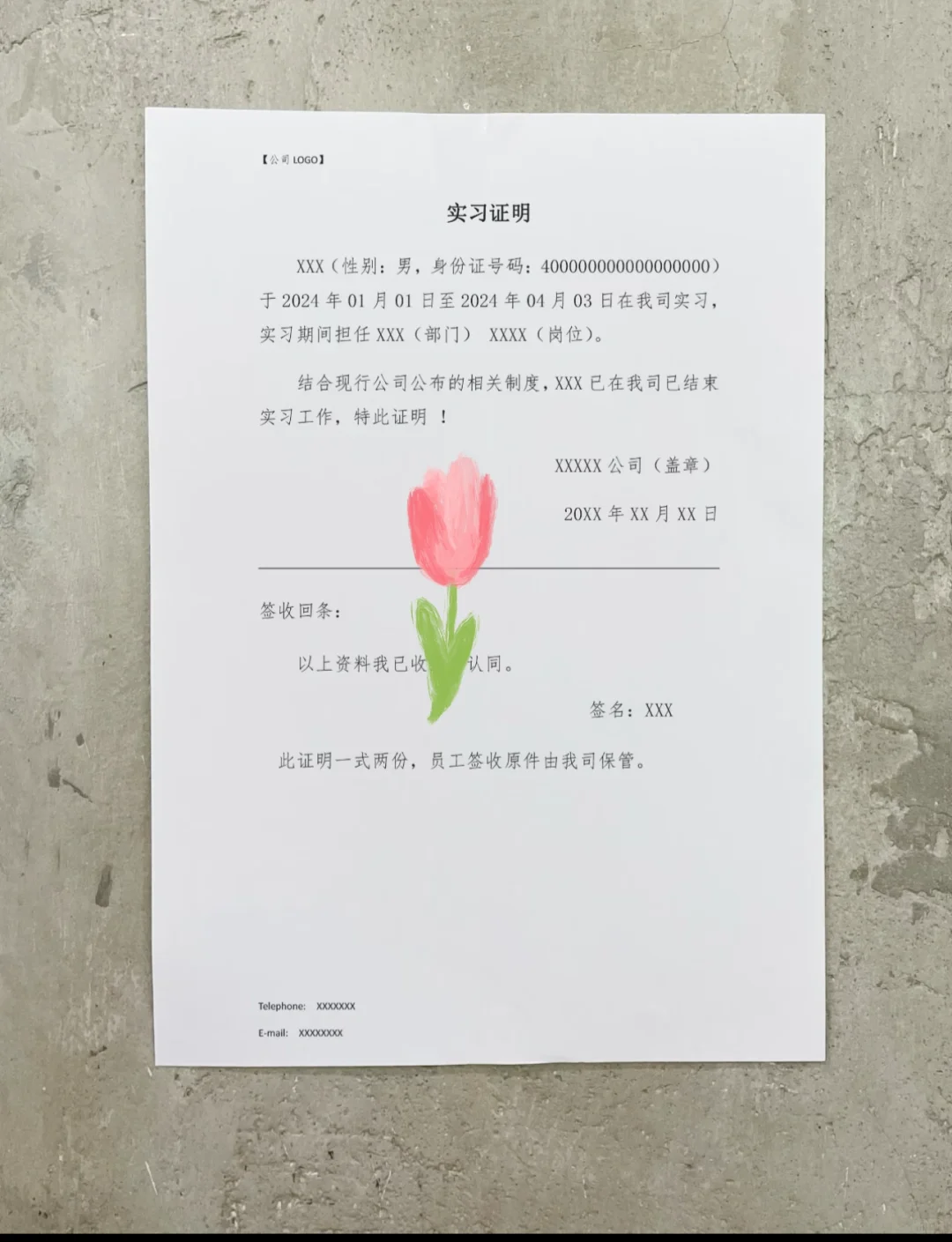 我的第一份实习模板