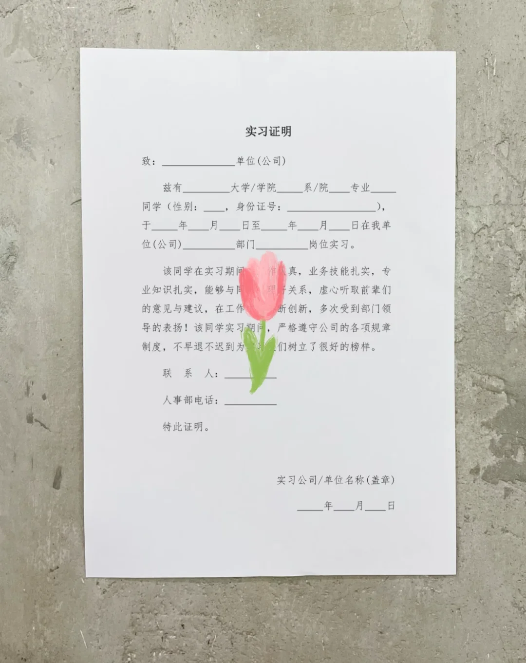 我的第一份实习模板