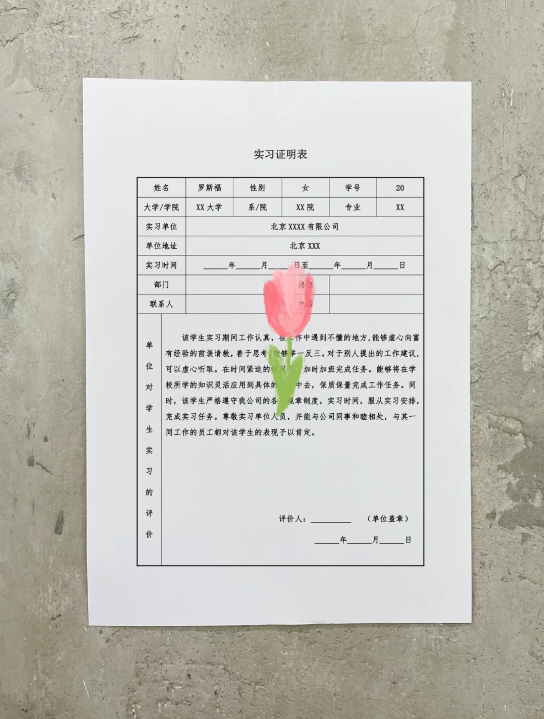 我的第一份实习模板
