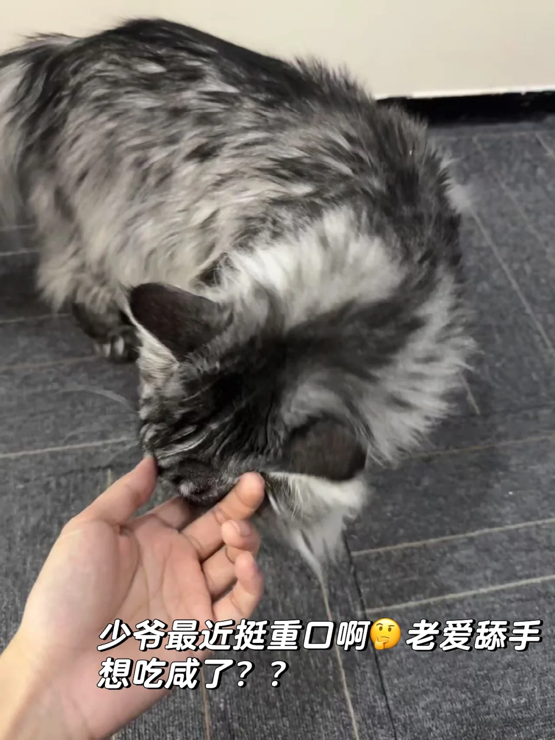 张店打工人狂喜!早9晚6➕周末双休,我司