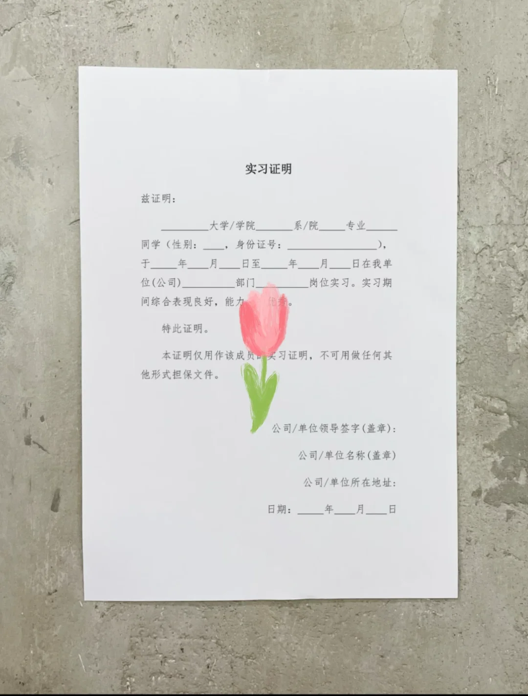 我的第一份实习模板