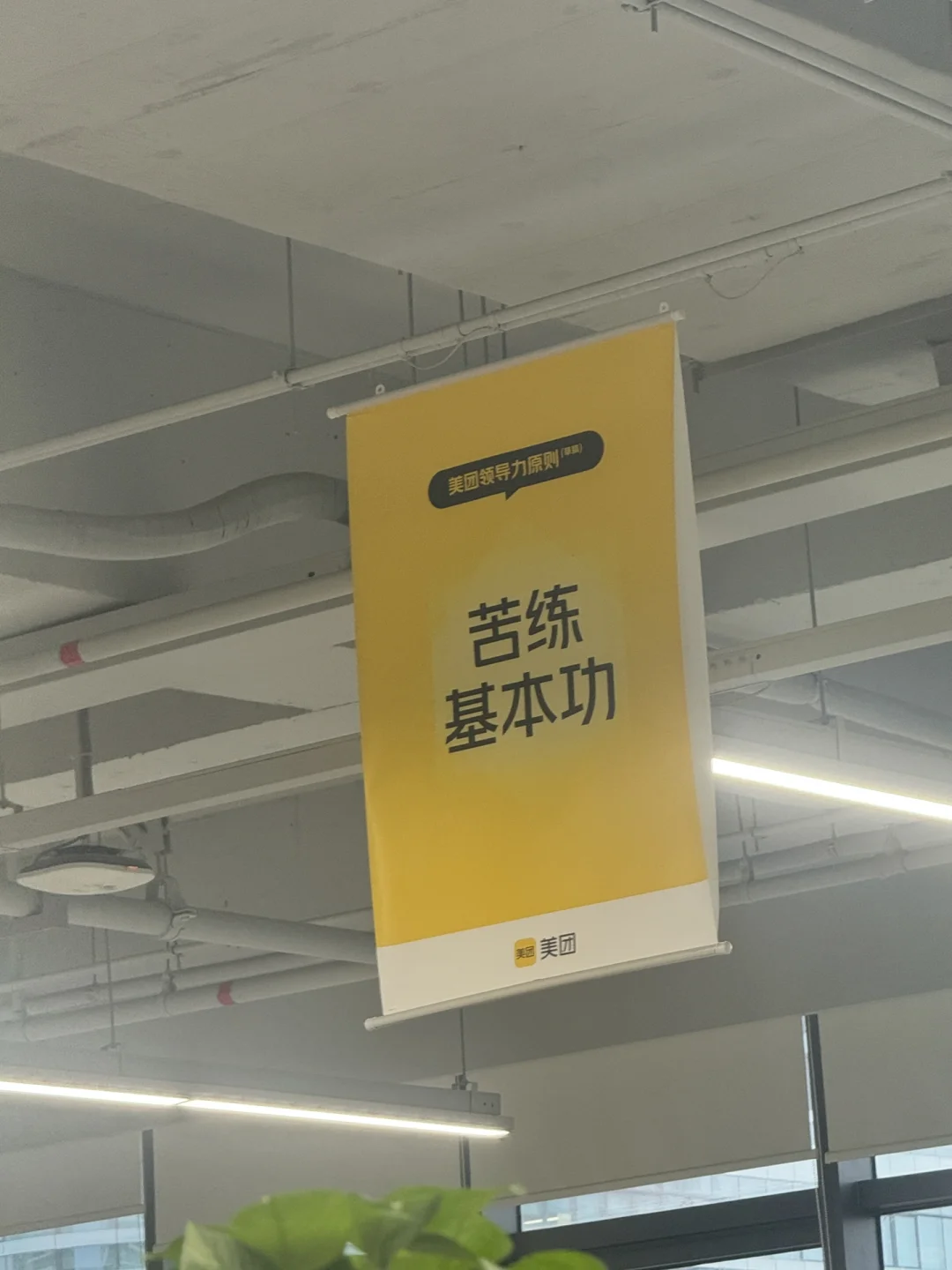 团子实习转正述职 | 随时准备跑路