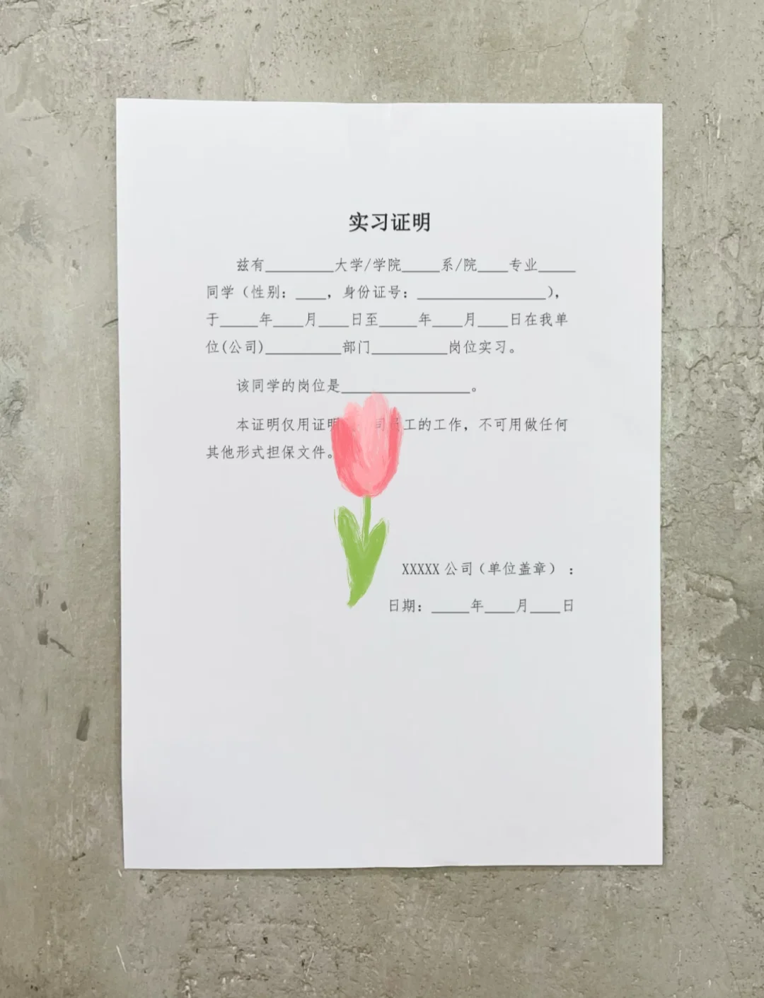 我的第一份实习模板