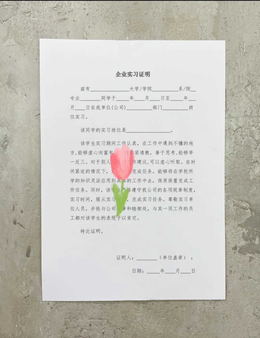 我的第一份实习模板