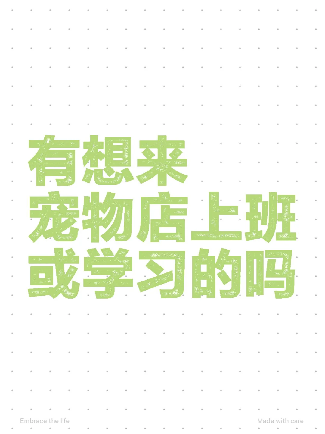 宠物店