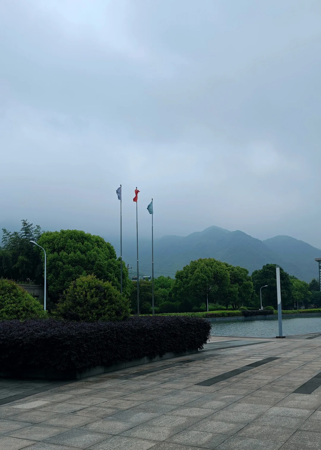 ?大学生必看｜上市公司实习信息差❗❗