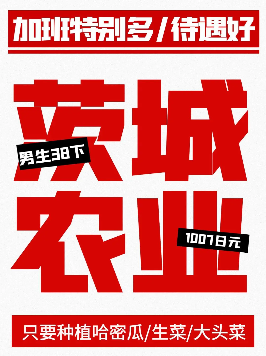 ?茨城农业招人啦3+2 男 ?1007 円/时