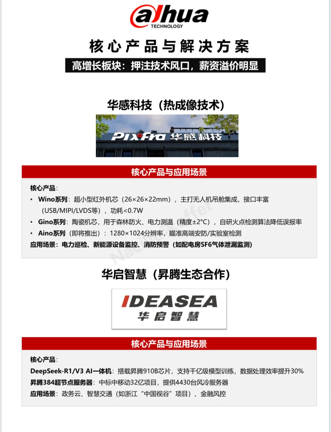 ?每天拆解一家公司【求职版】-浙江大华