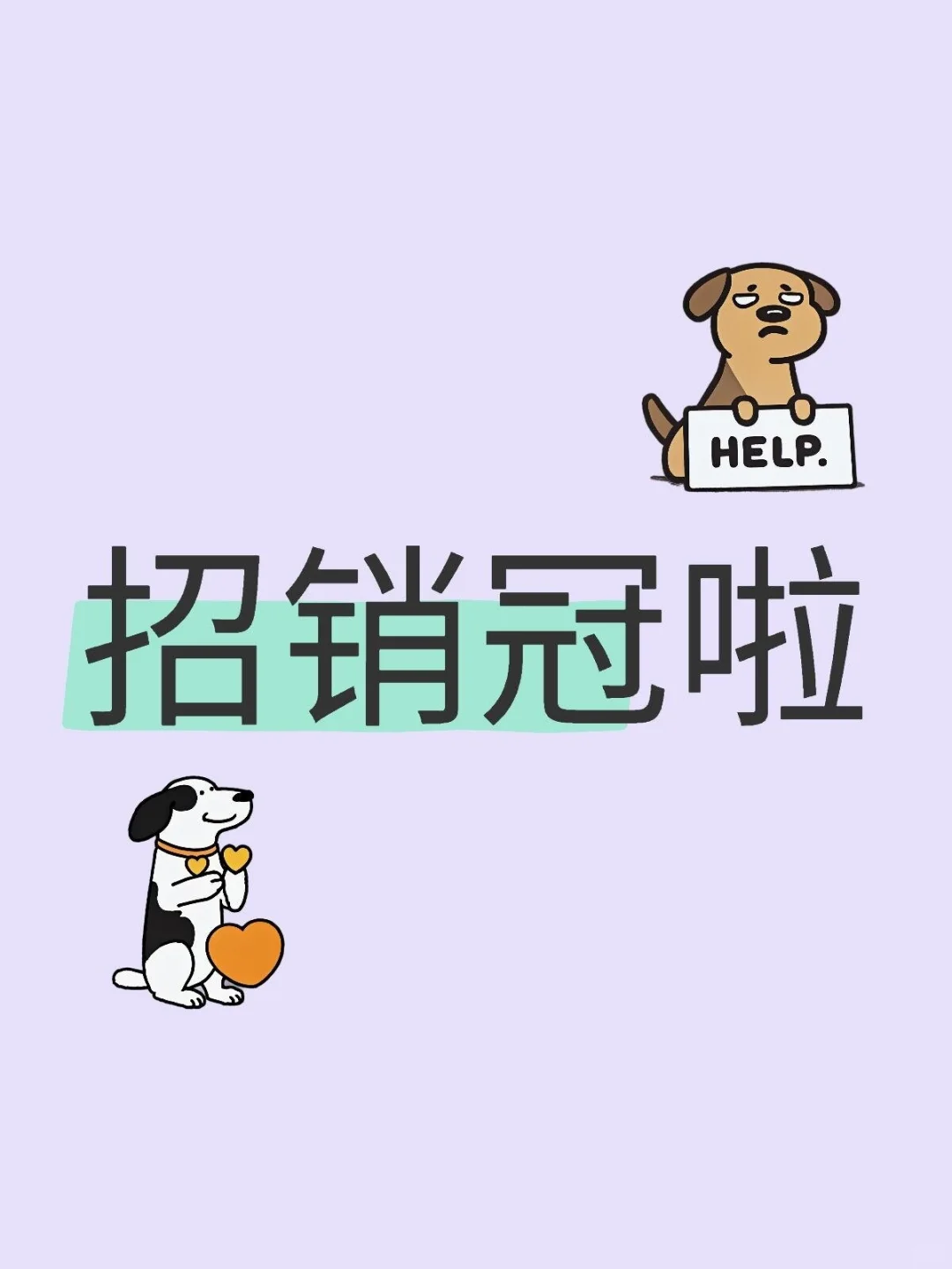 能招个优秀的销售吗？