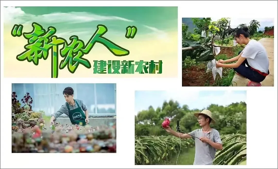 归纳概括专题训练题二新农人