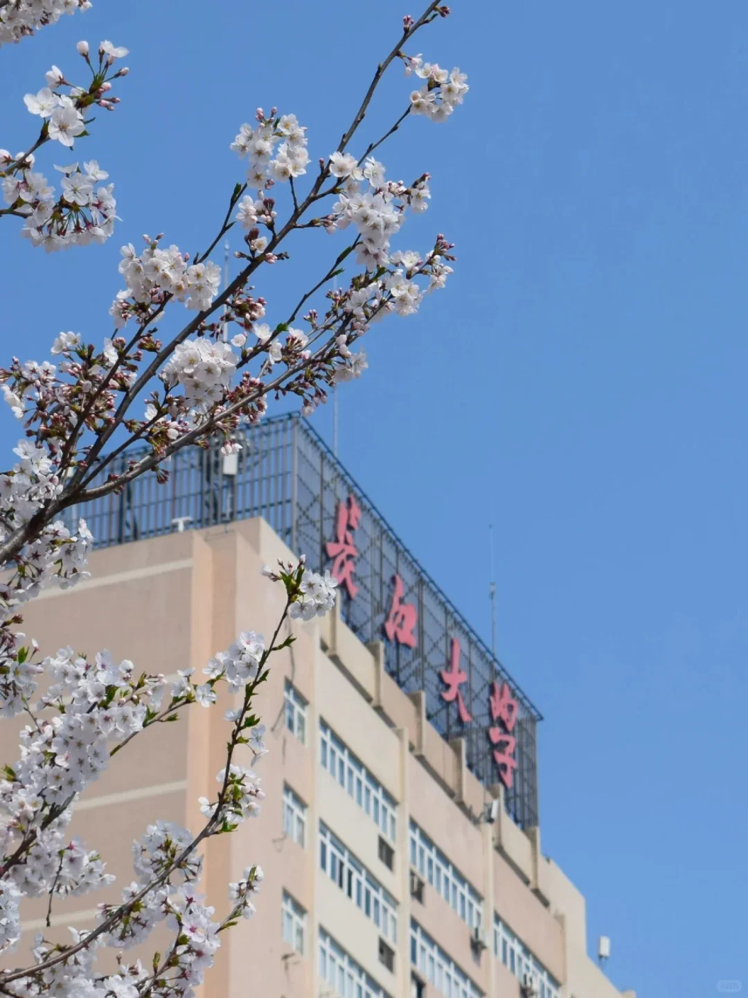 长大农学