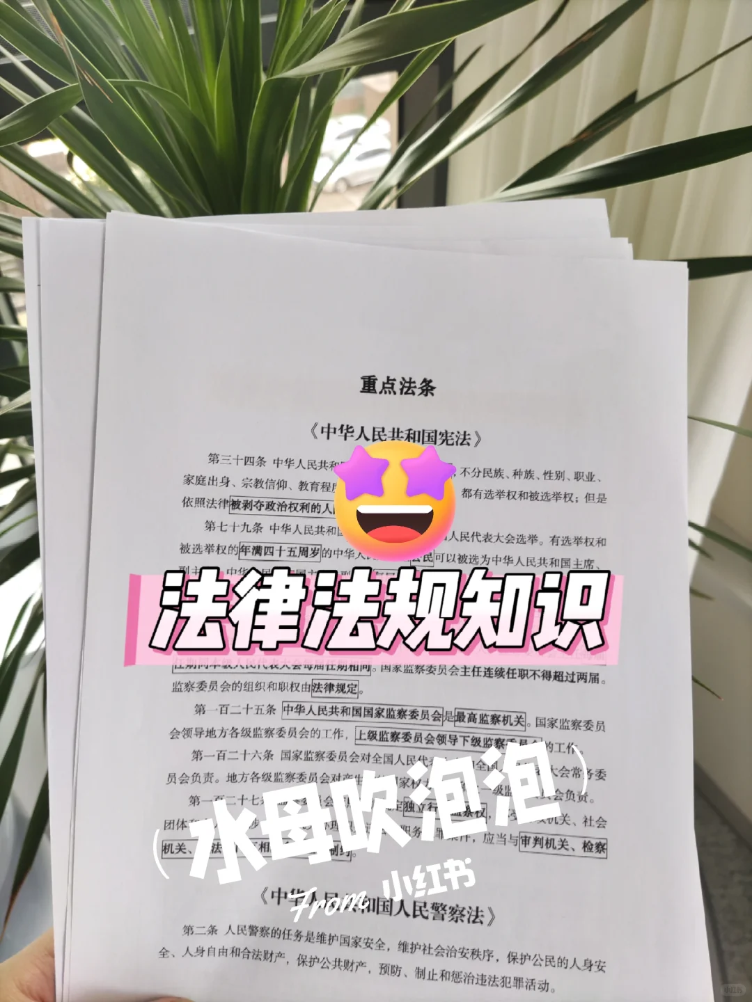 宁夏银川市辅警招聘，能拉一个算一个