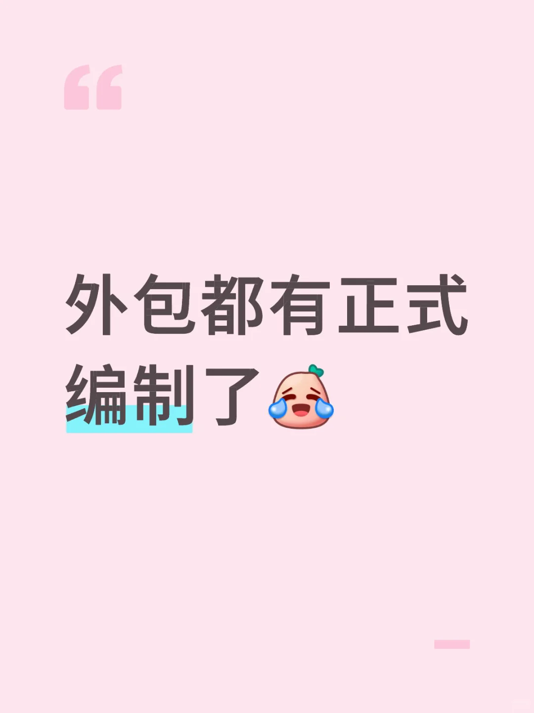 外包都分编制了