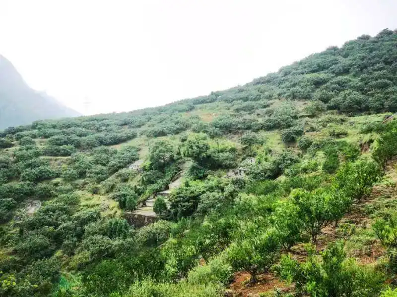 寻找投资方