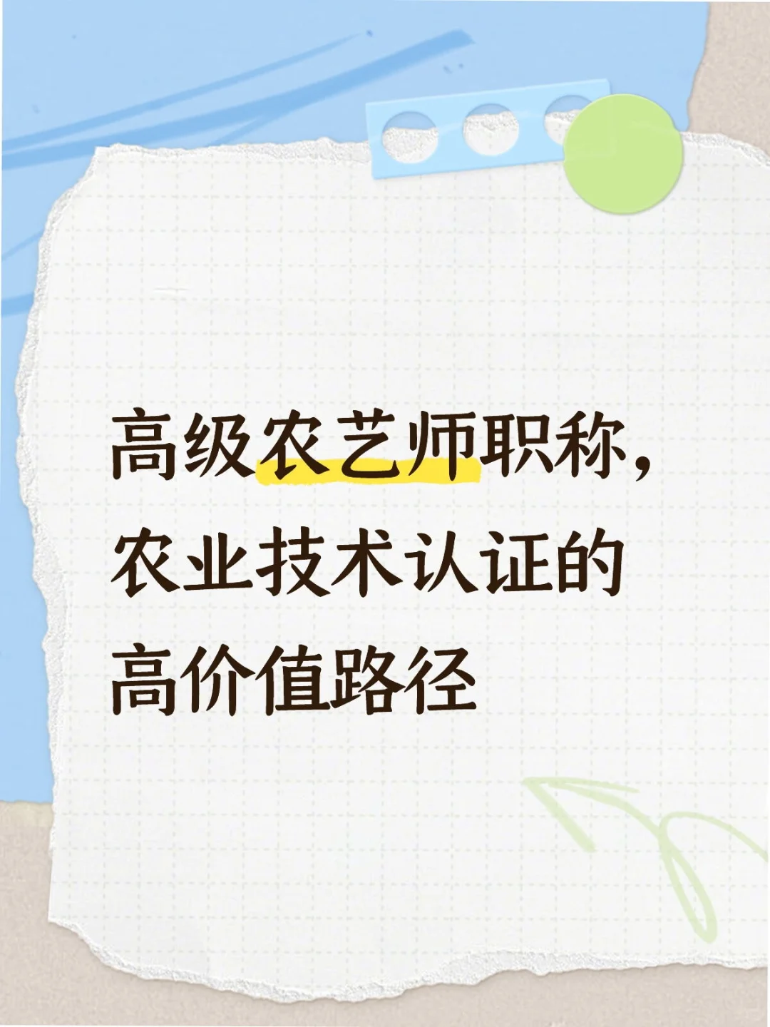 高级农艺师职称,农业技术认证的高价值路径