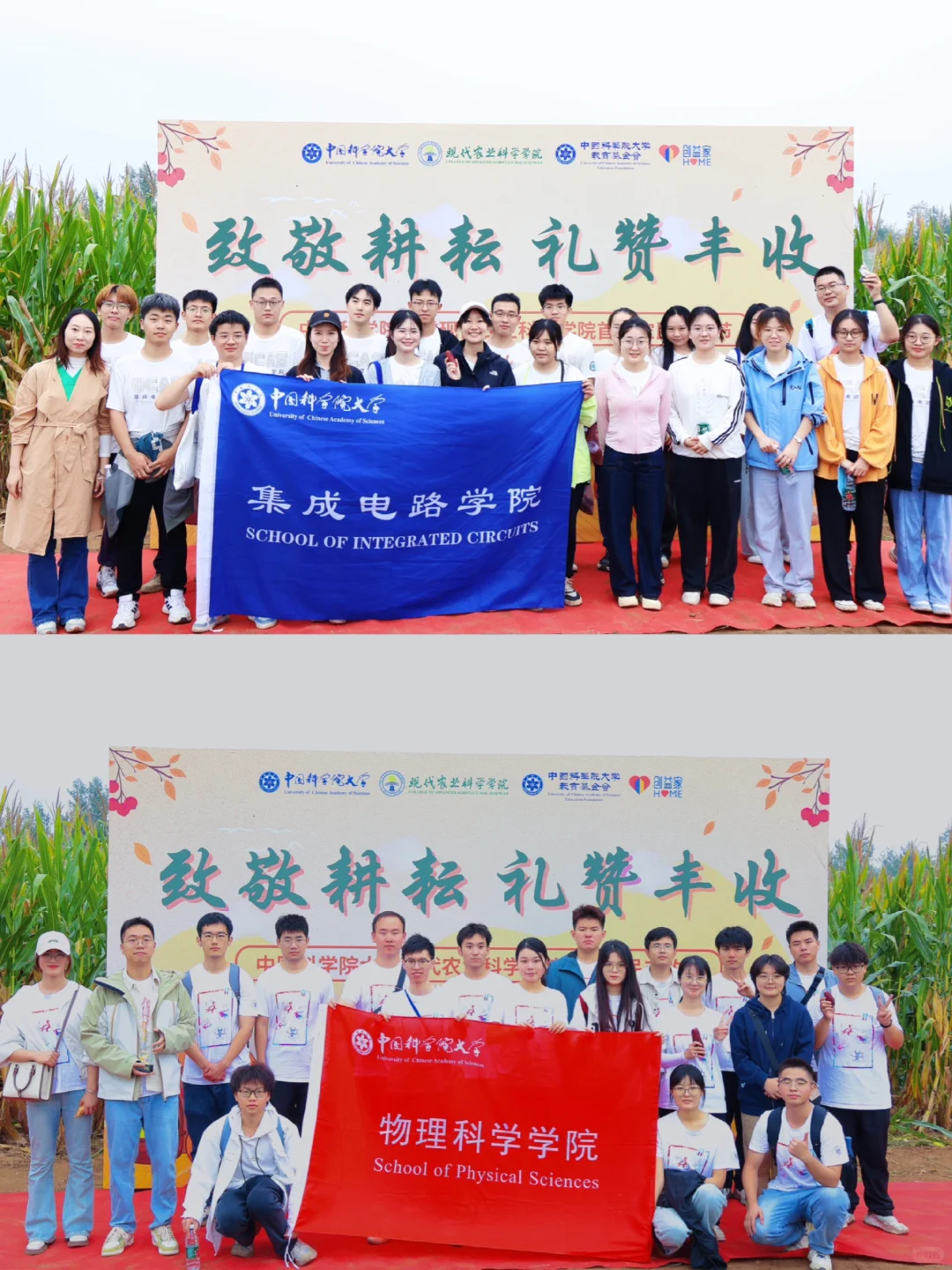 学长学姐的劳动成果,真好吃!?