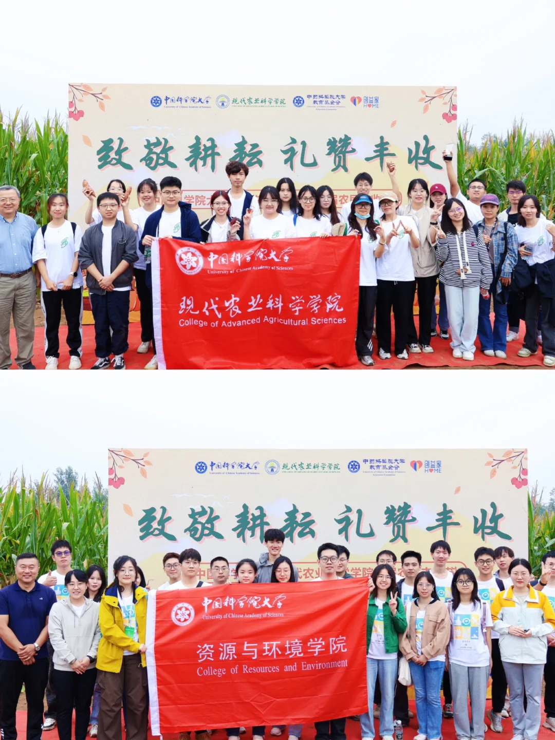 学长学姐的劳动成果,真好吃!?