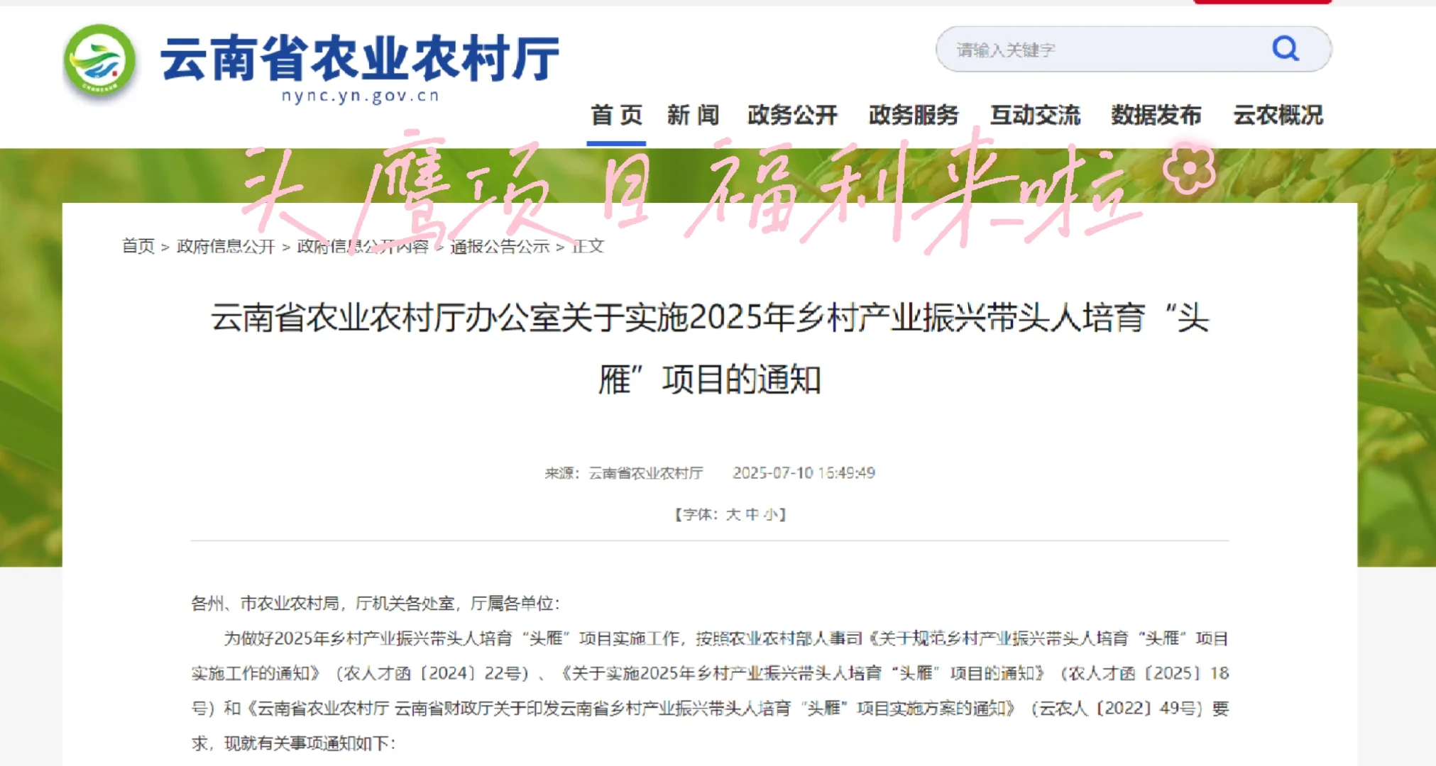 ?云南农业老板注意!“头雁”项目来啦!