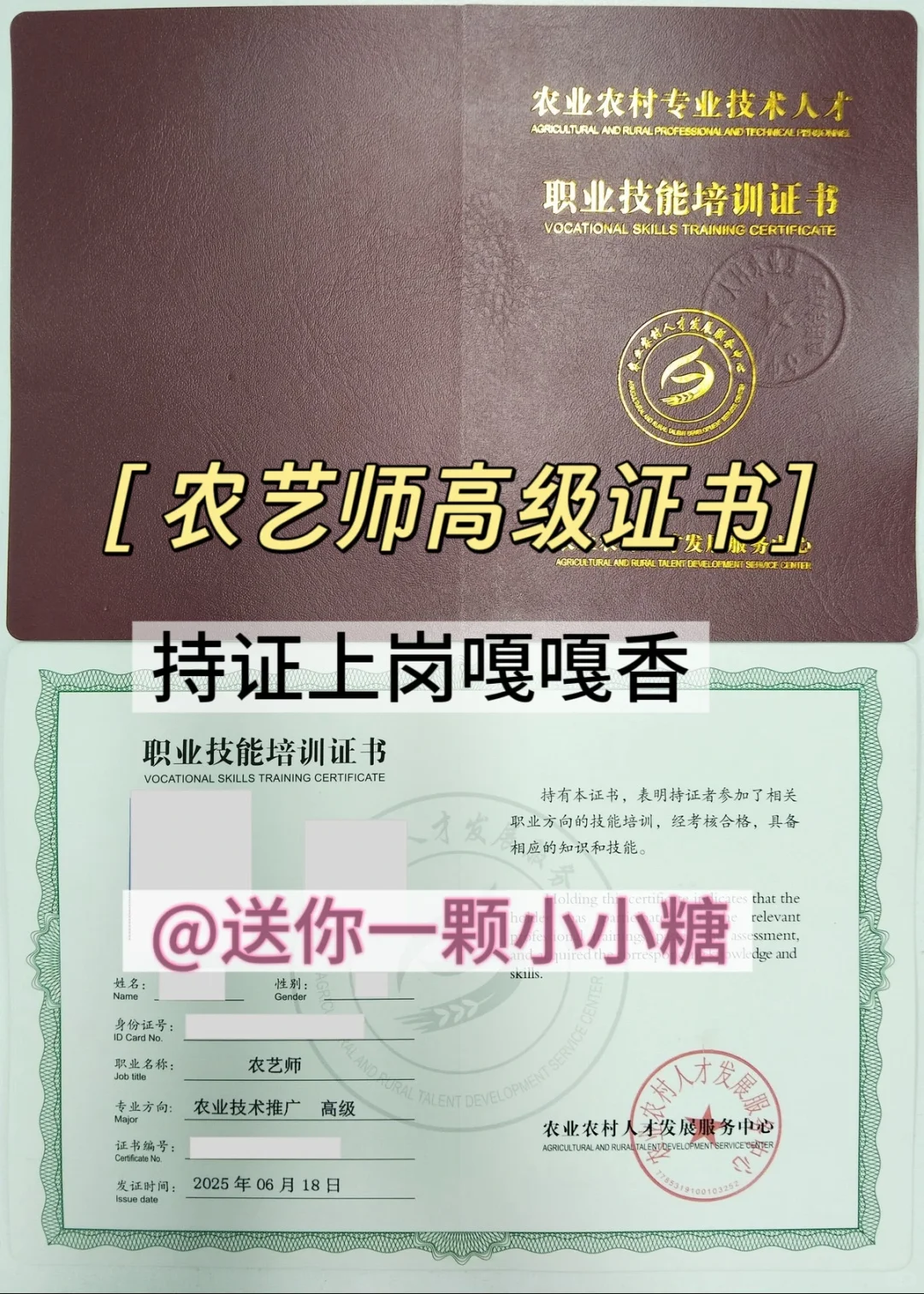 2025农艺师证书报考全攻略✨