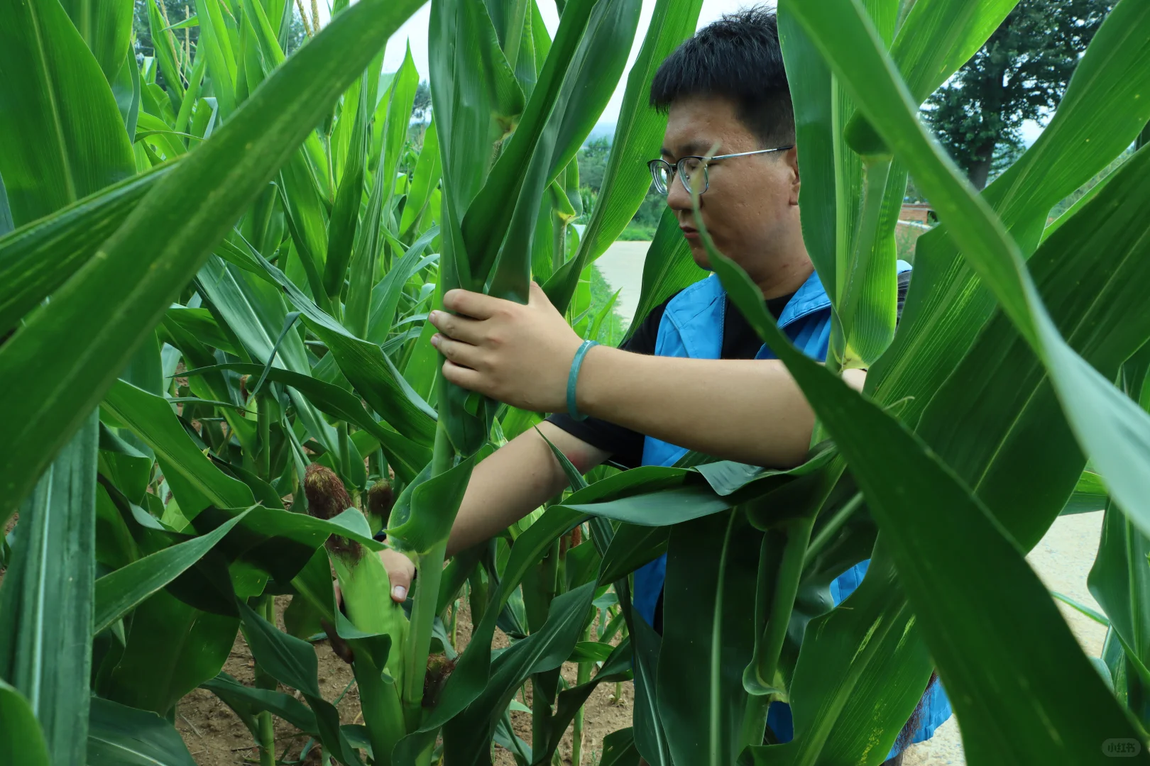 青春脚步丈量农耕文明,辽传学子下乡探遗产