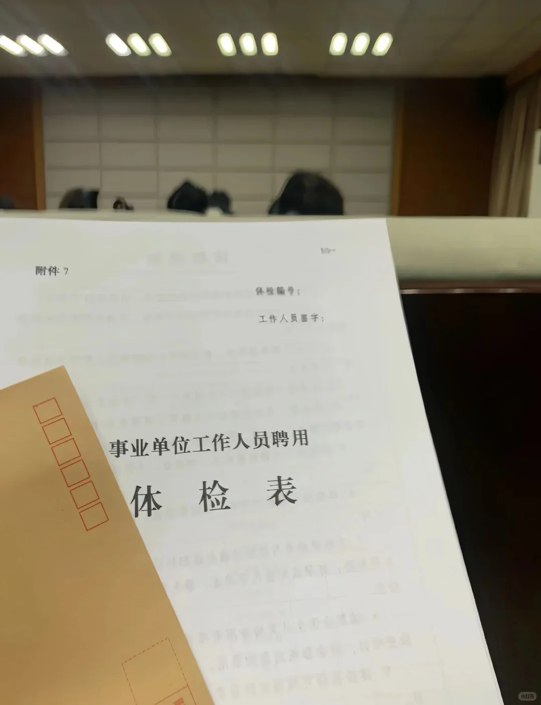 点开你也会考上教师编,断层第一!