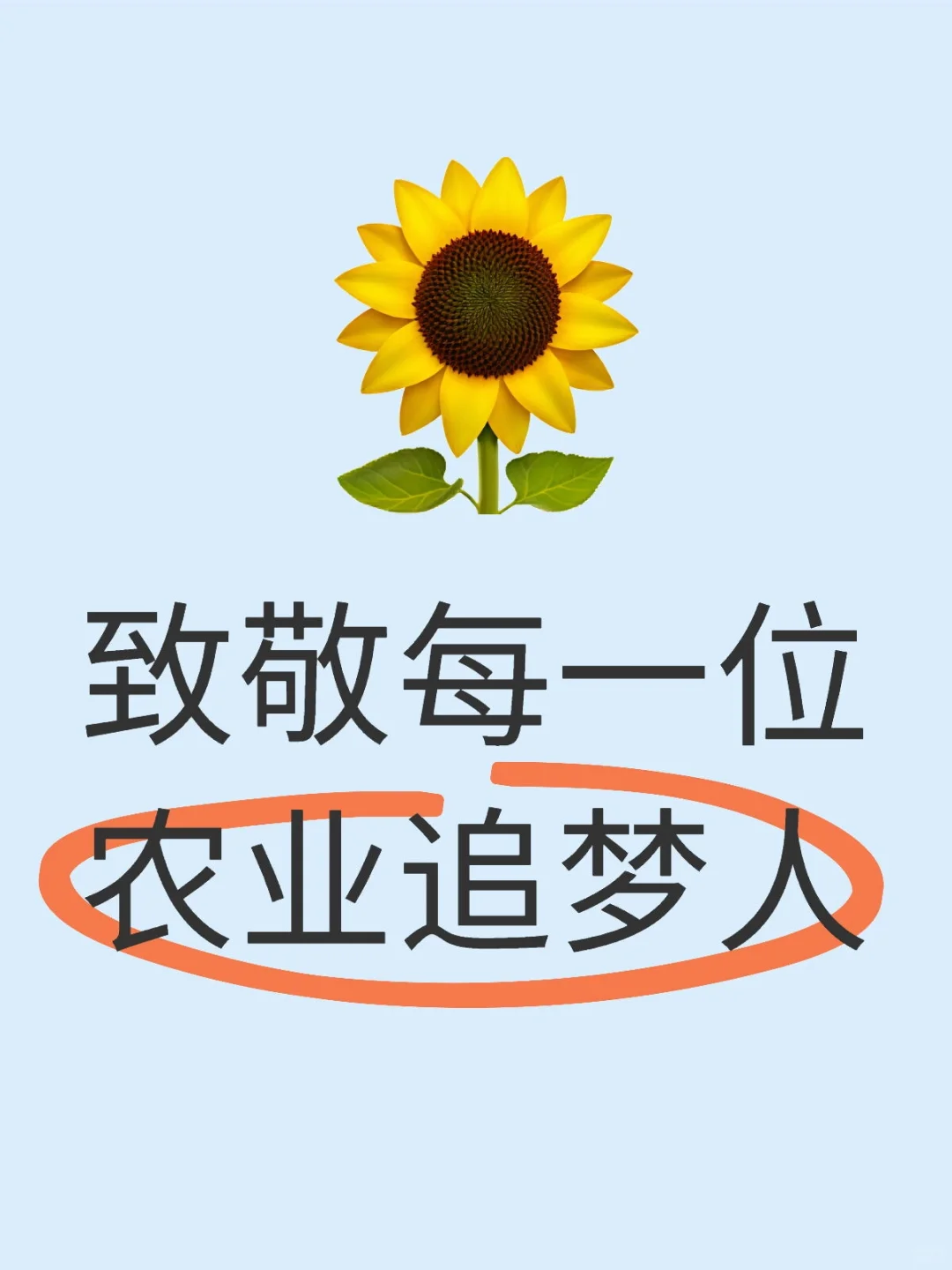 ?第三世界青年节,致敬每一位农业追梦人