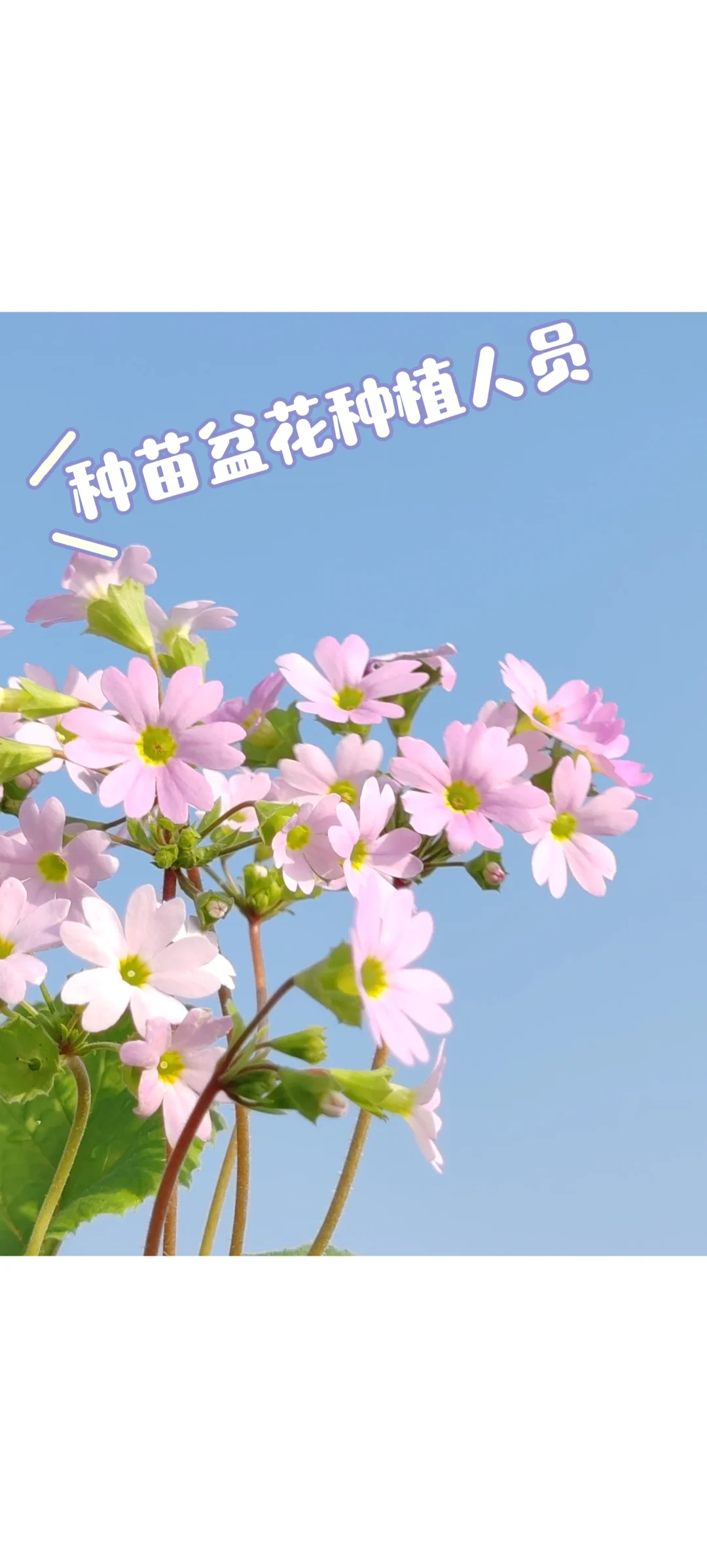 宜昌花园里农业招聘啦???