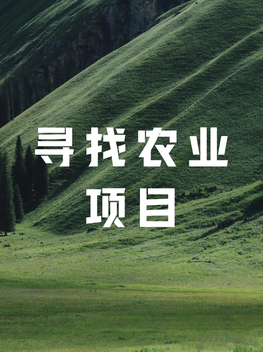 寻找农业项目！