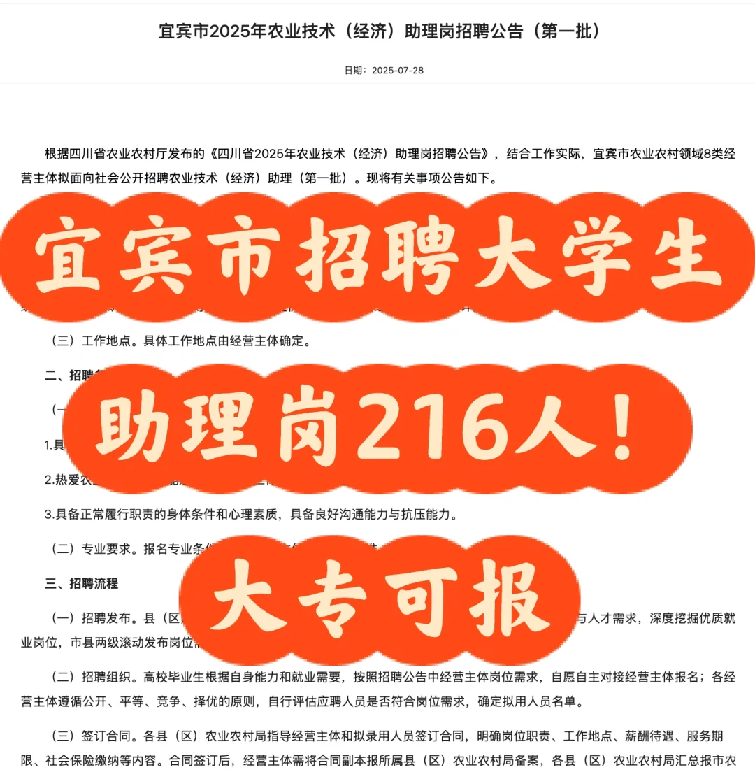 宜宾市招聘助理岗216人,大专可报!