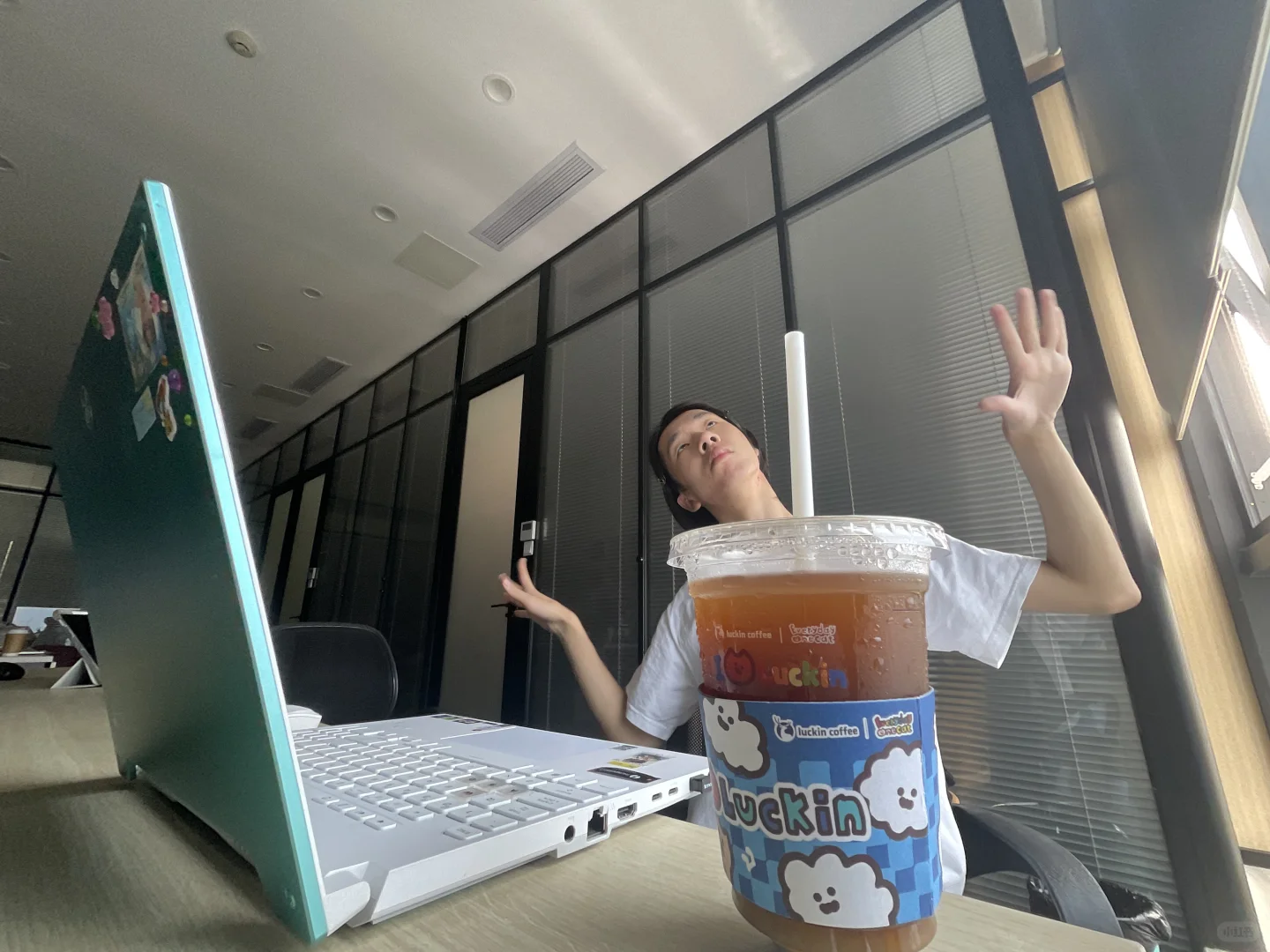 我就这样倒贴实习。
