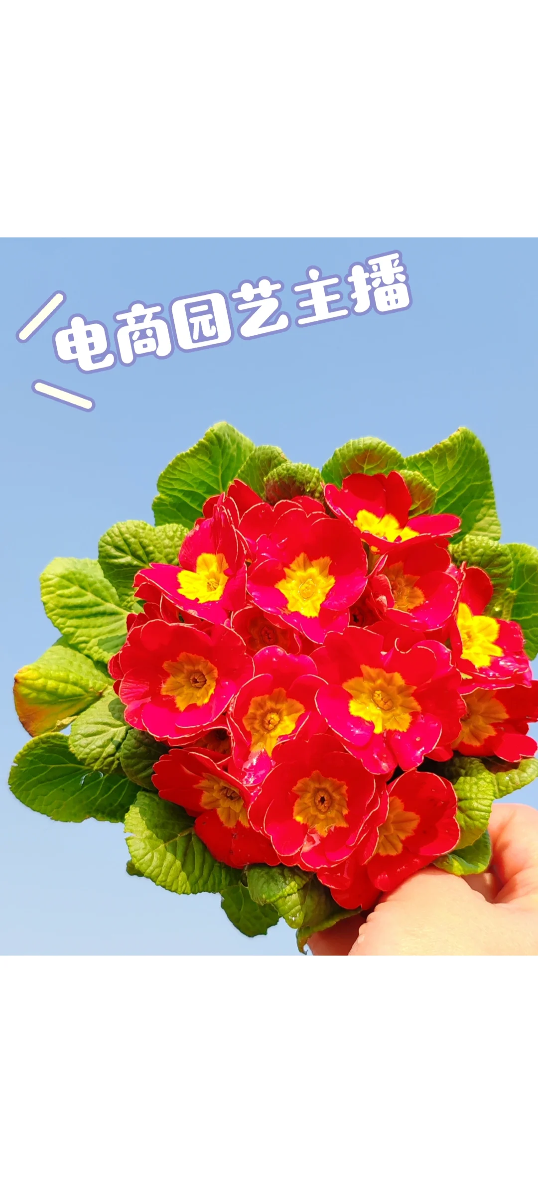 宜昌花园里农业招聘啦???
